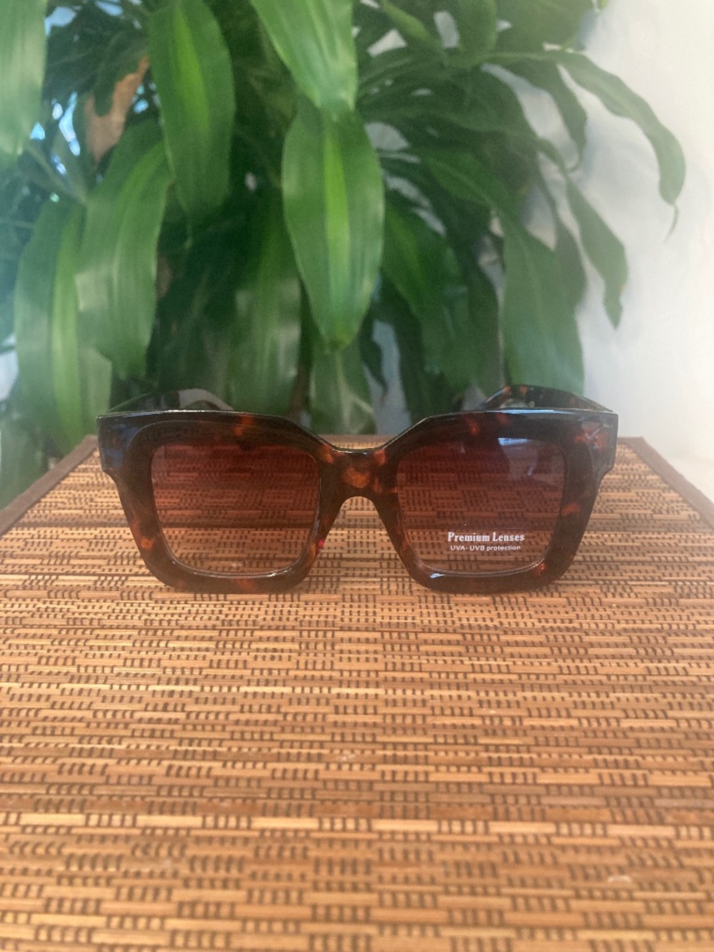 Bold Retro Square Sunglasses (5568) Brown